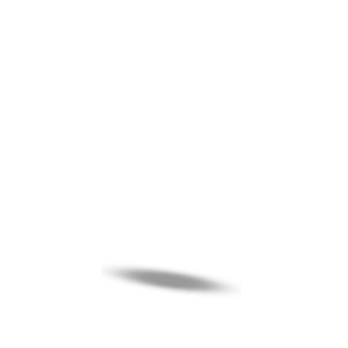hero_guard_0_0_shadow