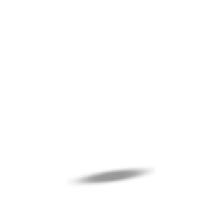hero_guard_1_0_shadow
