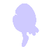 dash_up_1_2_trail_4