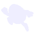 dash_up_horizontal_1_0_trail_5