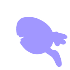 dash_up_horizontal_1_2_trail_2