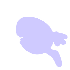 dash_up_horizontal_1_2_trail_4
