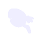 dash_up_horizontal_1_2_trail_5